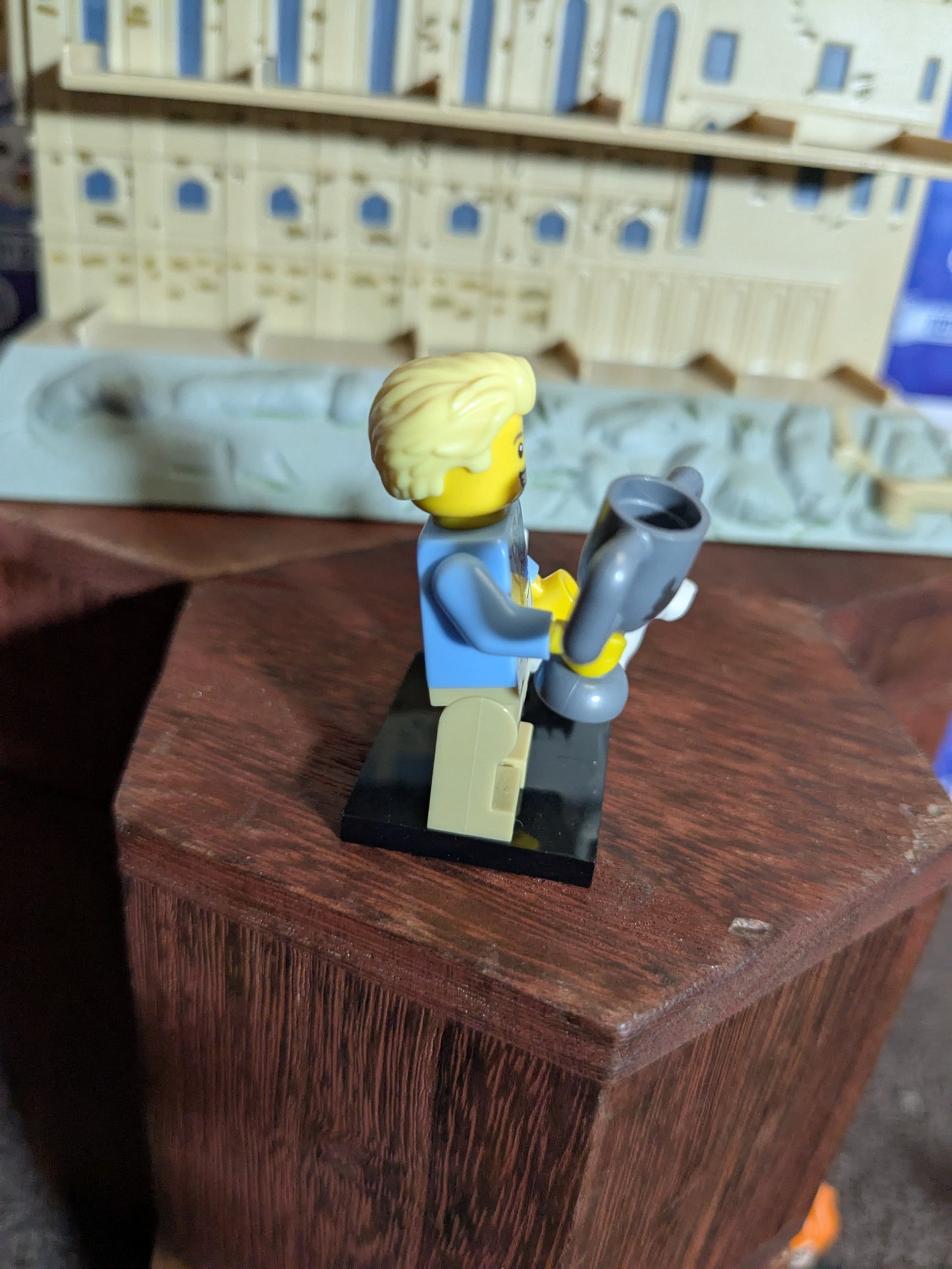 Lego Minifigures : Dog Show Winner