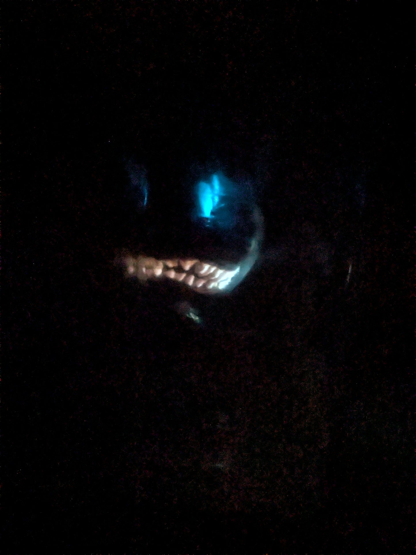 Funko pop - Twisted Freddy / Twisted Bonnie / Twisted Wolf / Twisted Chica (Glow)