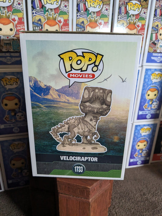 Funko pop 1733 : Velociraptor (Fossil) - CapyToys
