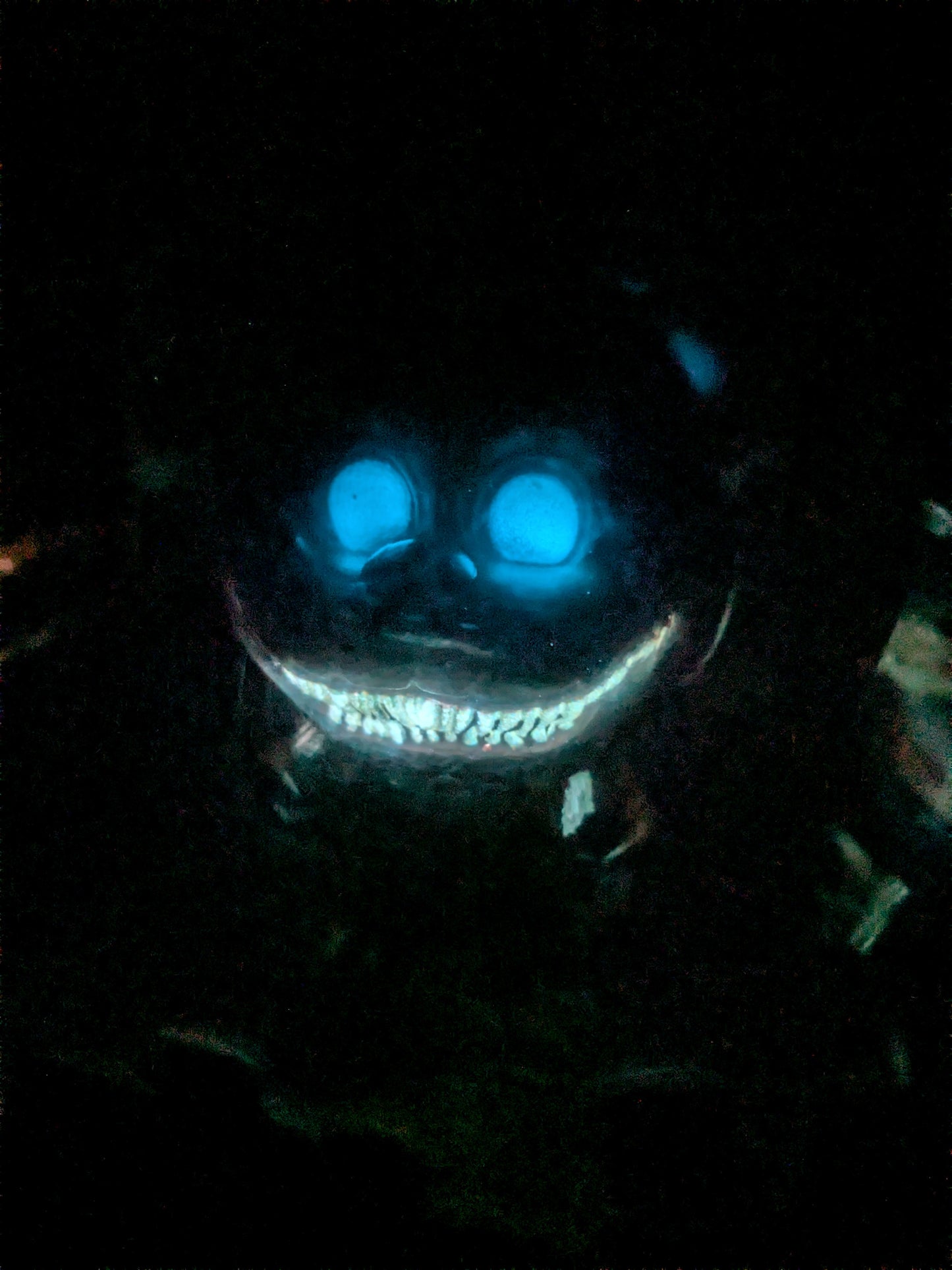 Funko pop - Twisted Freddy / Twisted Bonnie / Twisted Wolf / Twisted Chica (Glow)