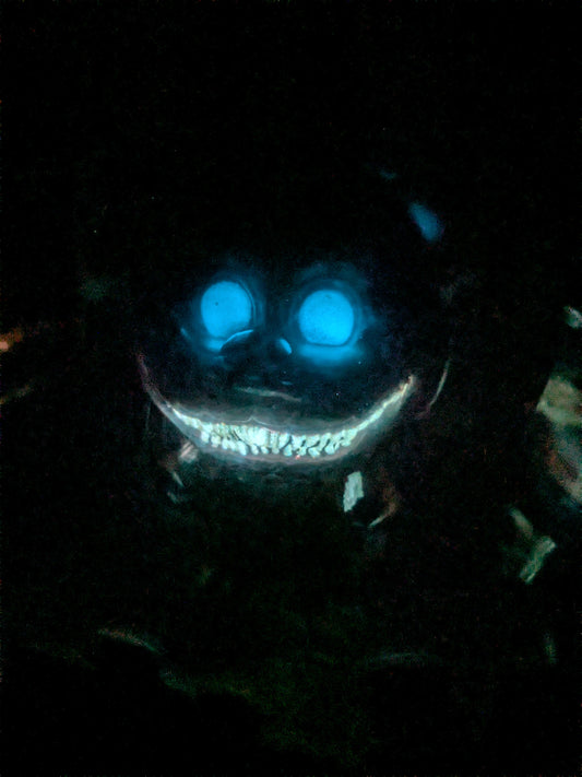 Funko pop - Twisted Freddy / Twisted Bonnie / Twisted Wolf / Twisted Chica (Glow)