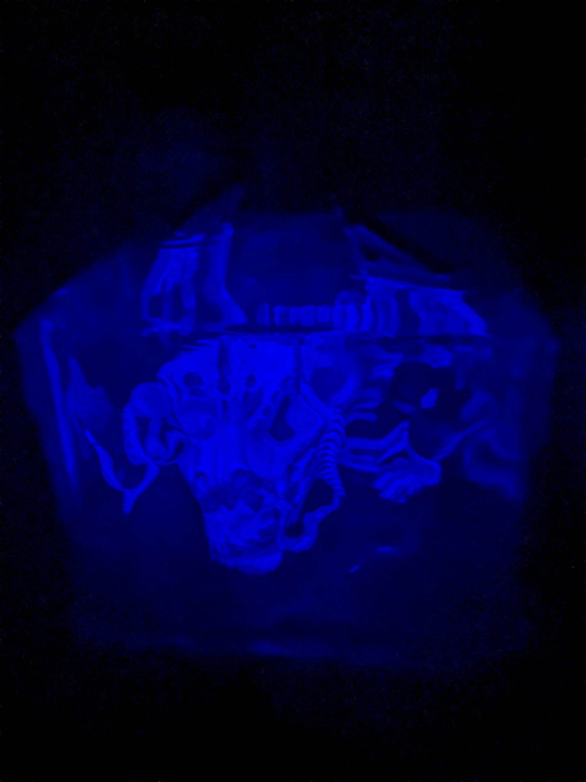 Funko pop 1069 : Gelatinous Cube with Dracolich (Glow/Opened/ Damaged Plastic) - CapyToys