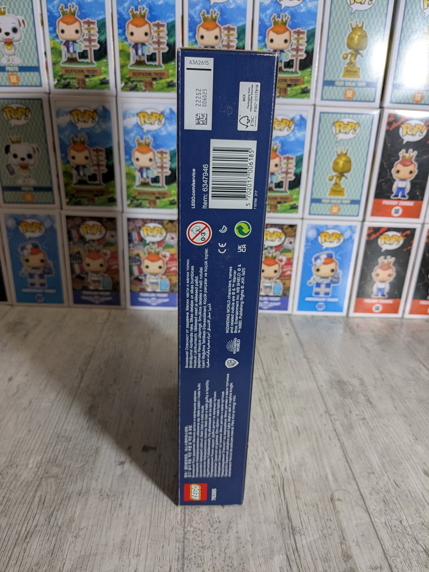 LEGO 76395 : Hogwarts First Flying Lesson