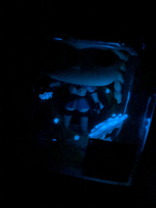 Funko pop 1155 : Charlotte (Glow/CCE/Damaged Box)