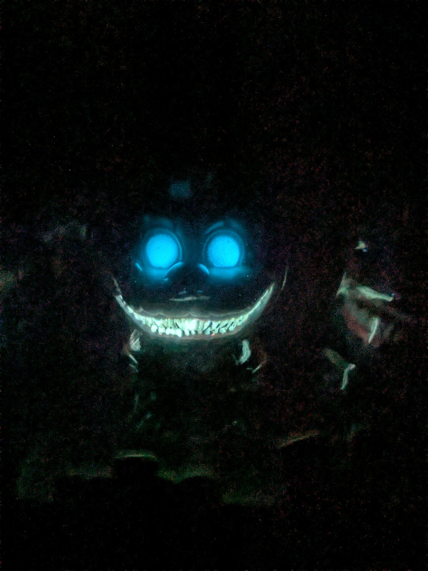 Funko pop : Twisted Freddy / Twisted Bonnie / Twisted Wolf / Twisted Chica (glow)