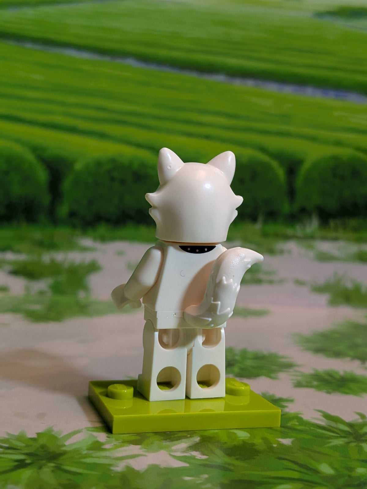 LEGO Minifigures - Cat Costume Fan