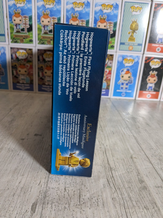 LEGO 76395 : Hogwarts First Flying Lesson