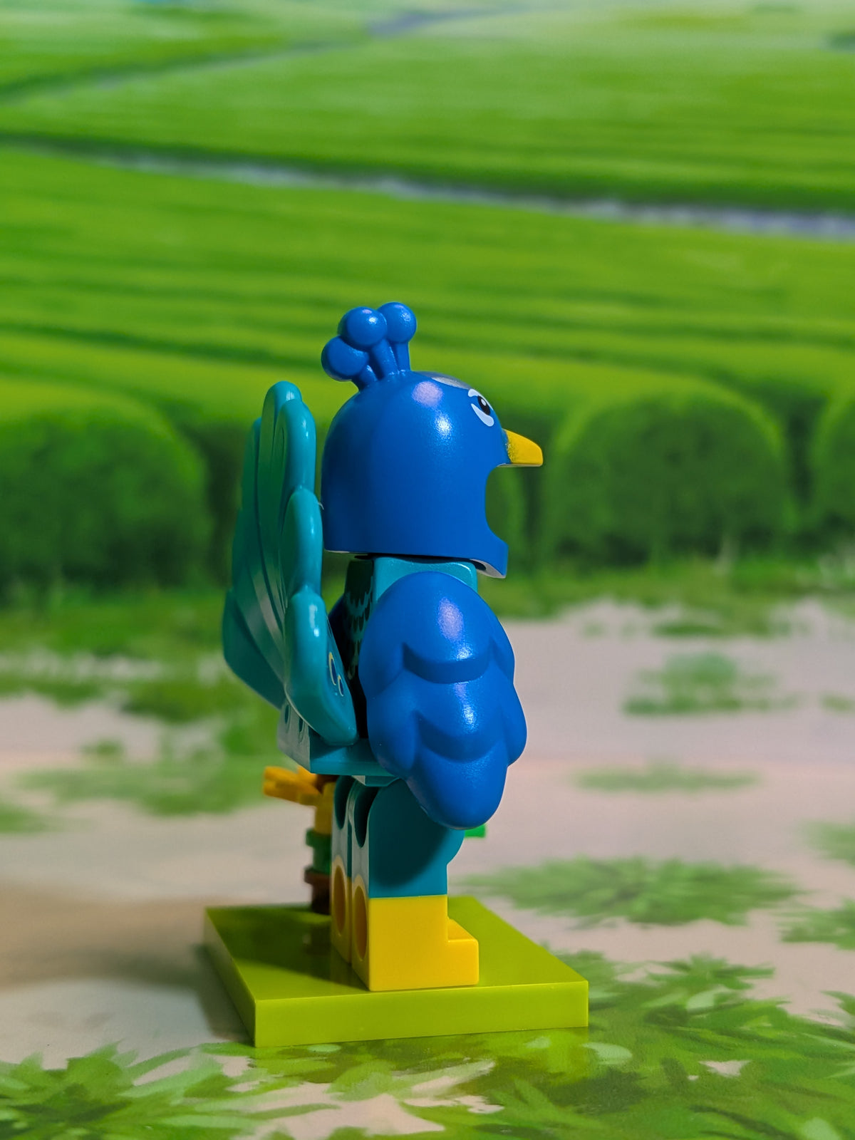 LEGO Minifigures - Peacock Costume Fan