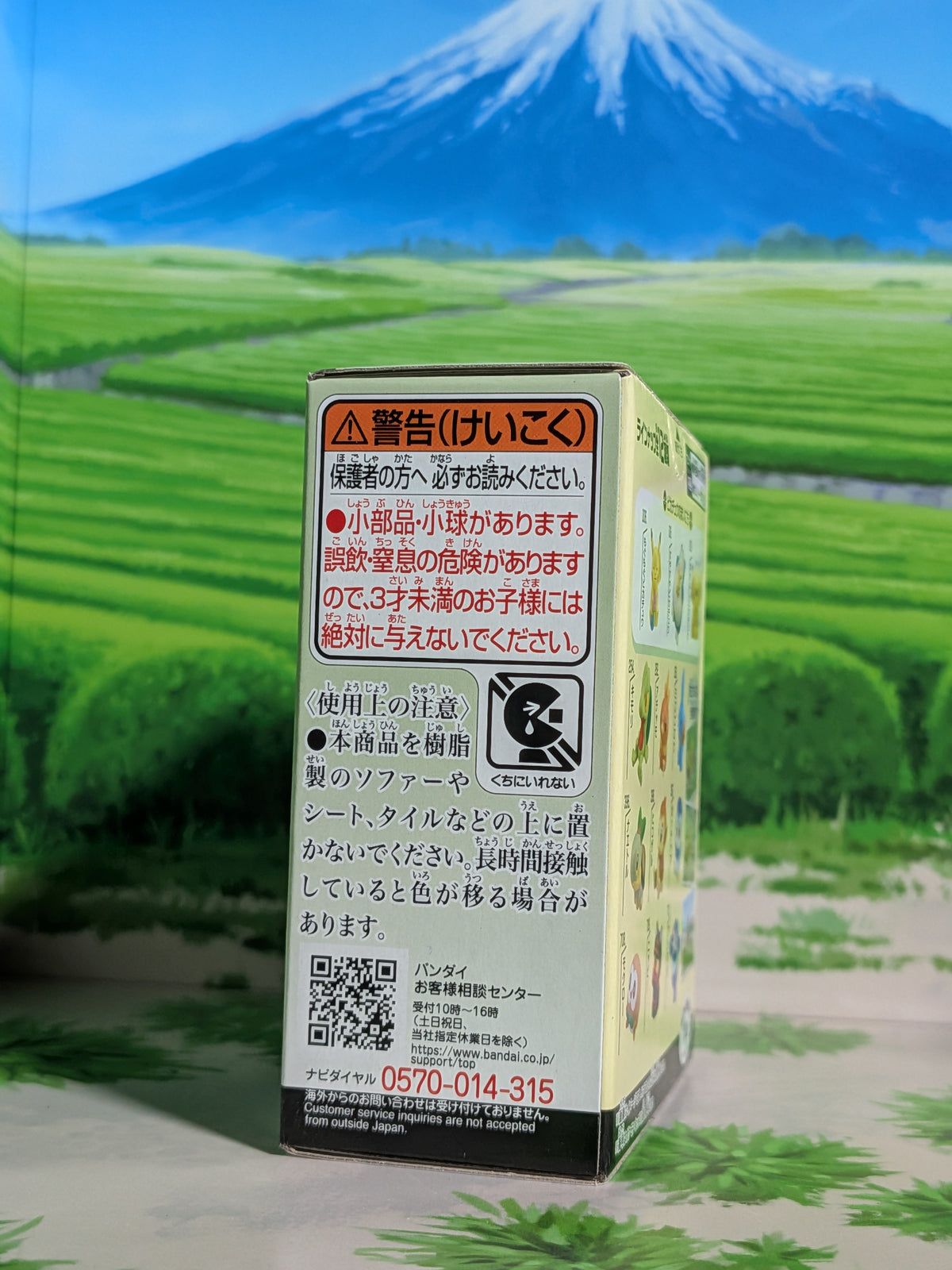 Shokugan: Pokémon Kids Mini Figure & Gum - 30th Anniversary Special Vol.3 - Tortipouss (N°396)