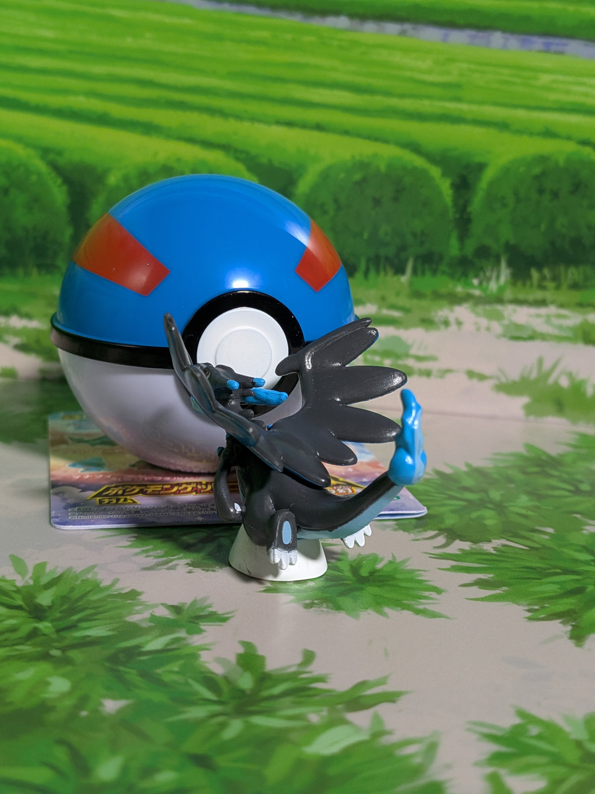 Shokugan: Pokémon Get & Gum - Blazing Sky Illusion - Méga-Dracaufeu X & Super Ball (Environ 3 cm)