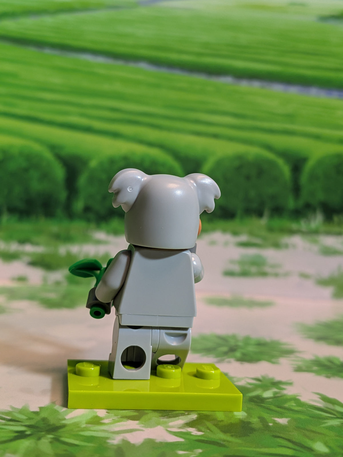 LEGO Minifigures - Koala Costume Fan