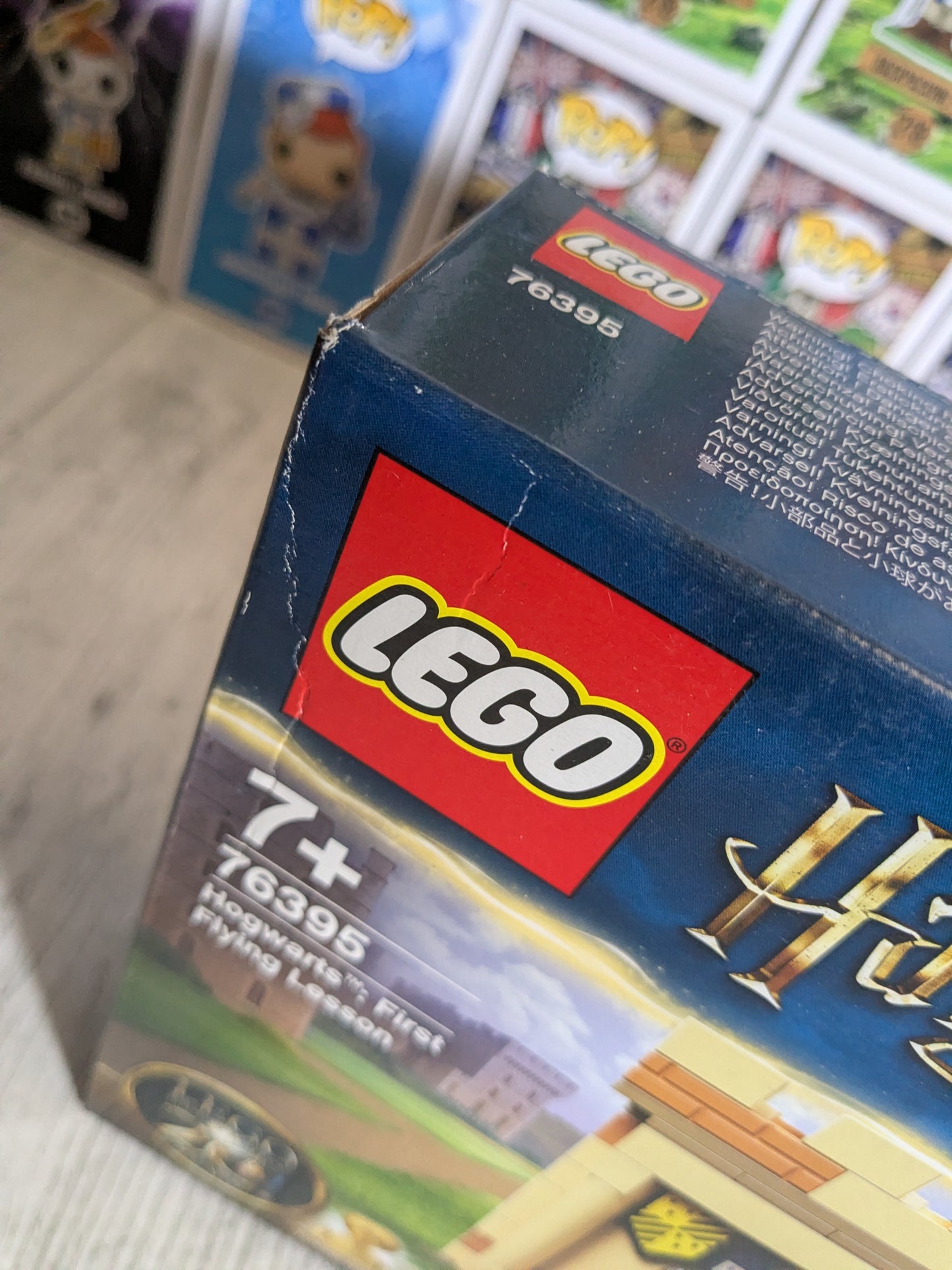 LEGO 76395 : Hogwarts First Flying Lesson