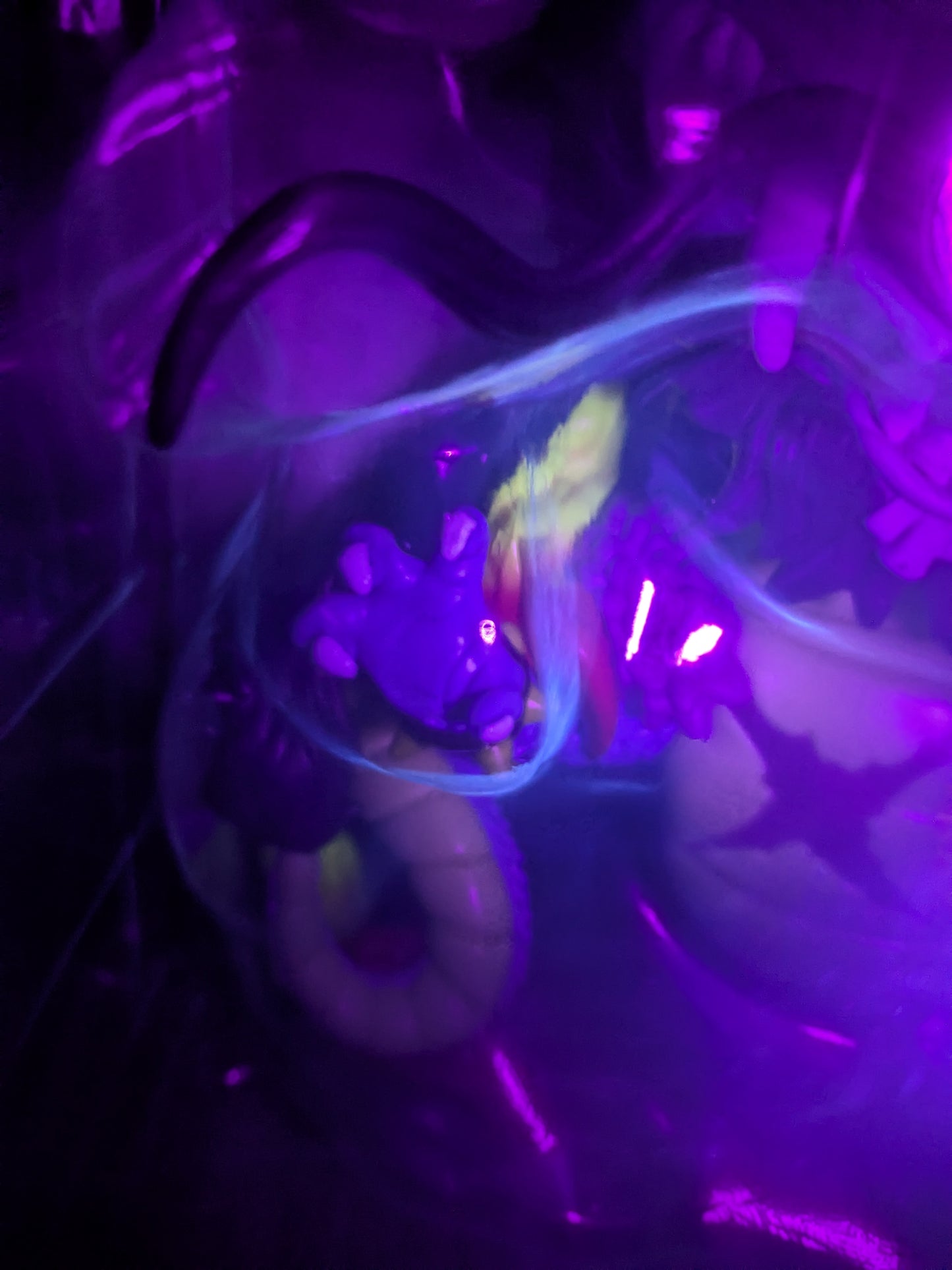 Funko pop One Piece #1623 - Kaido Dragon Form