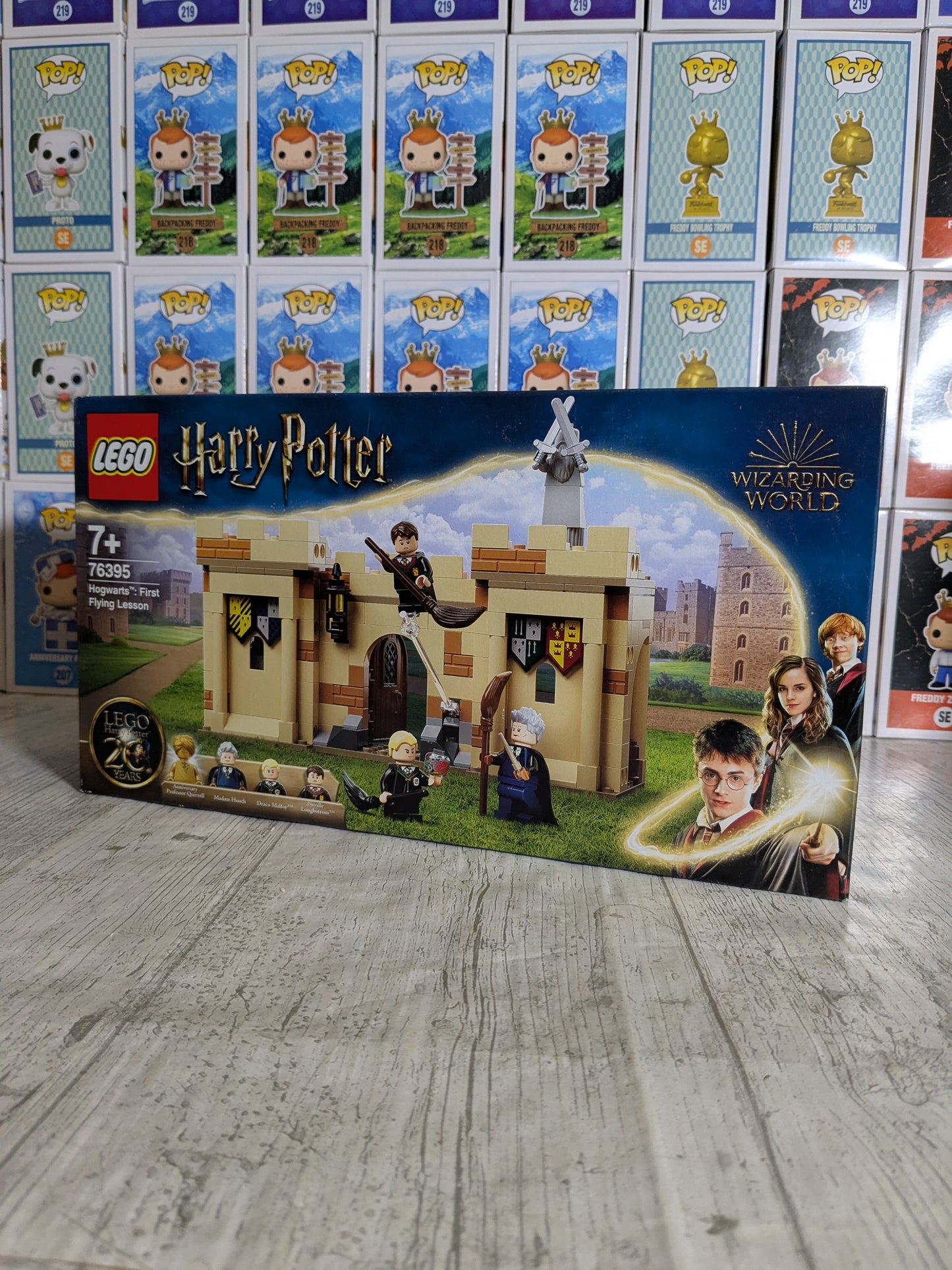 LEGO 76395 : Hogwarts First Flying Lesson