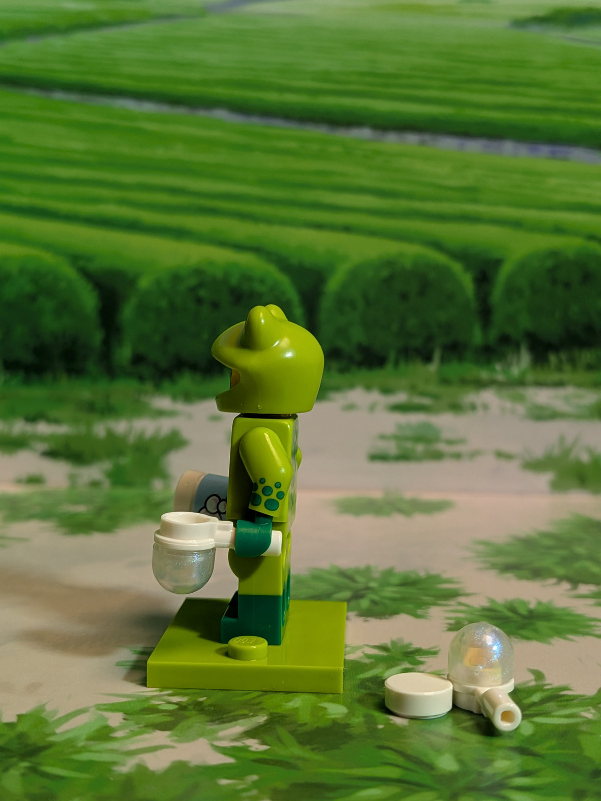 LEGO Minifigures - Frog Costume Fan