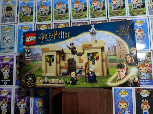 Lego 76395: Prima lezione di volo a Hogwarts
