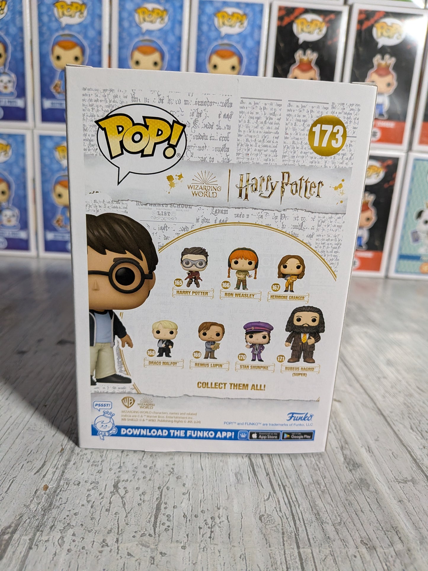 Funko Pop Harry Potter #173 - Harry Potter (SC2024)