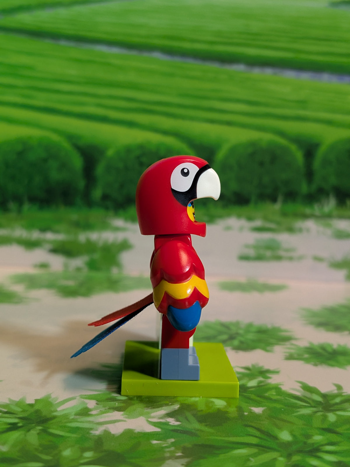 LEGO Minifigures - Parrot Costume Fan
