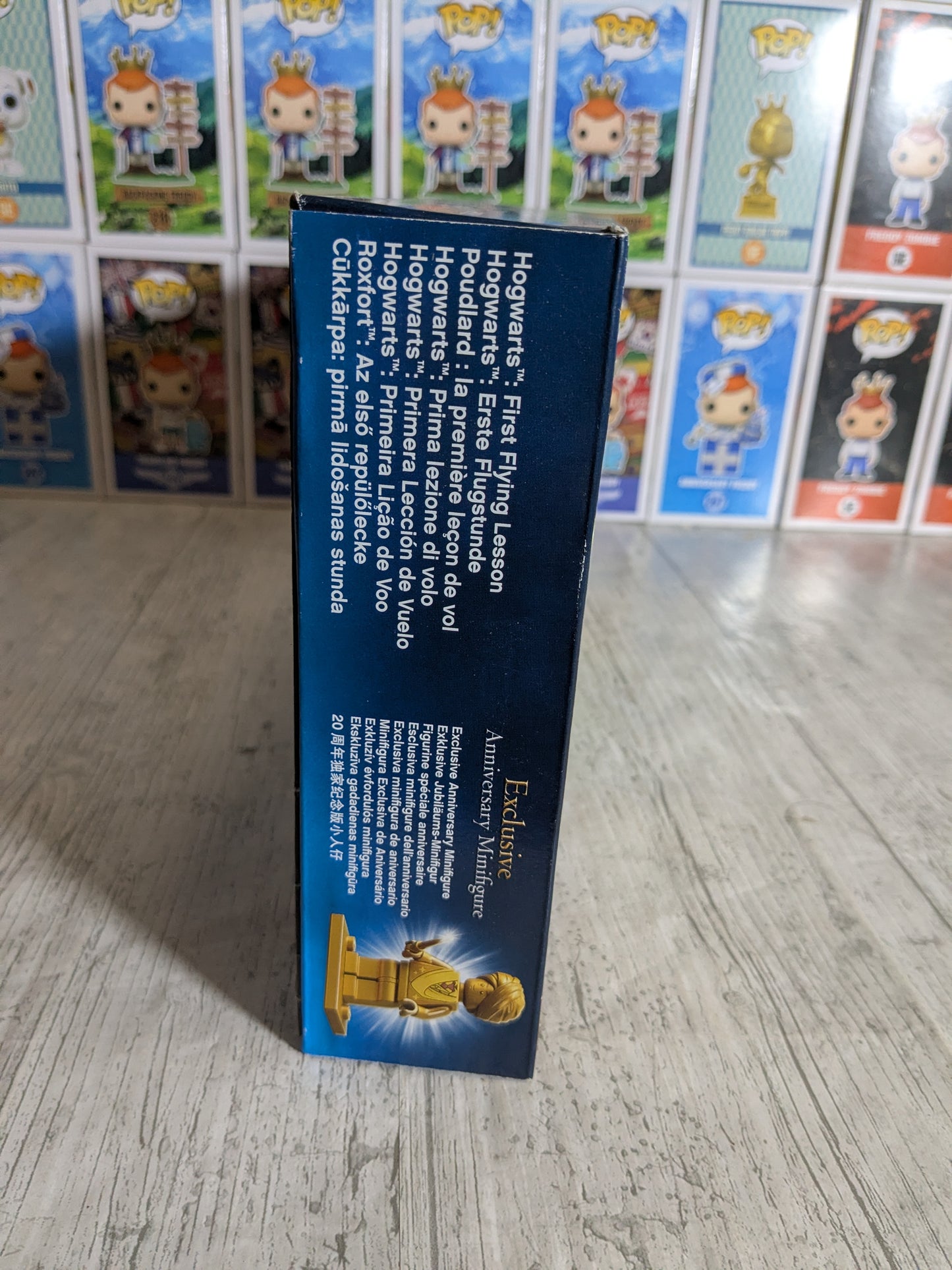 LEGO 76395 : Hogwarts First Flying Lesson