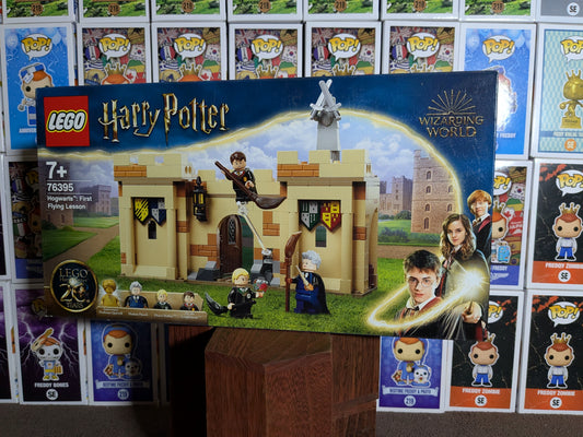 Lego 76395: Prima lezione di volo a Hogwarts