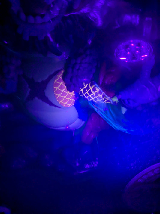 Funko pop One Piece #1623 - Kaido Dragon Form