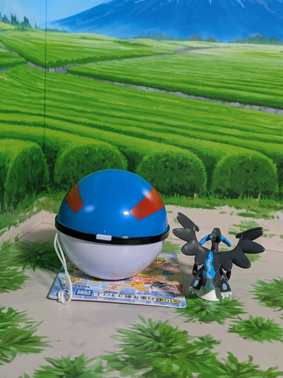Shokugan: Pokémon Get & Gum - Blazing Sky Illusion - Méga-Dracaufeu X & Super Ball (Environ 3 cm)
