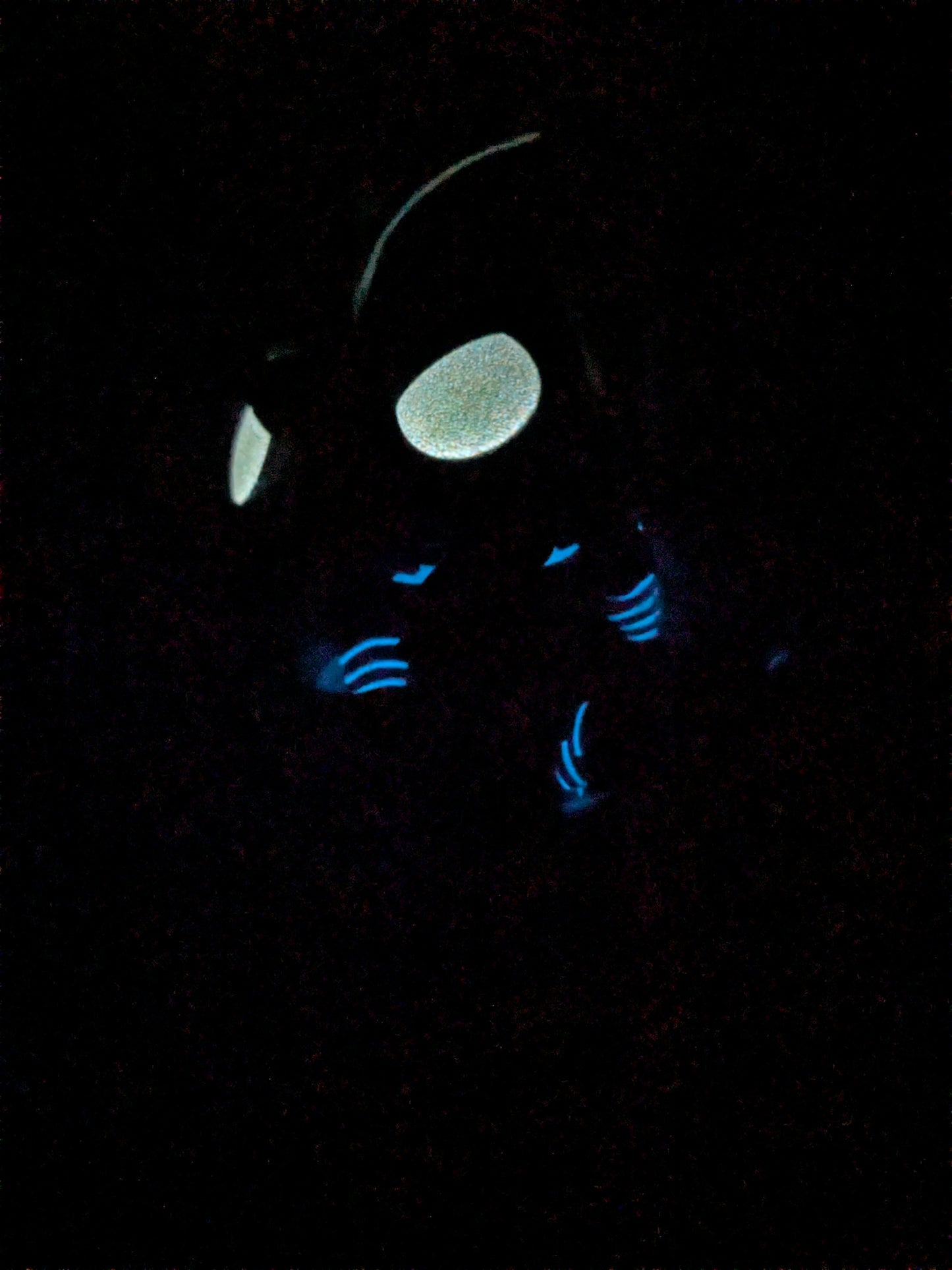 Funko pop Solo Leveling #2022 - Beru (Glow)