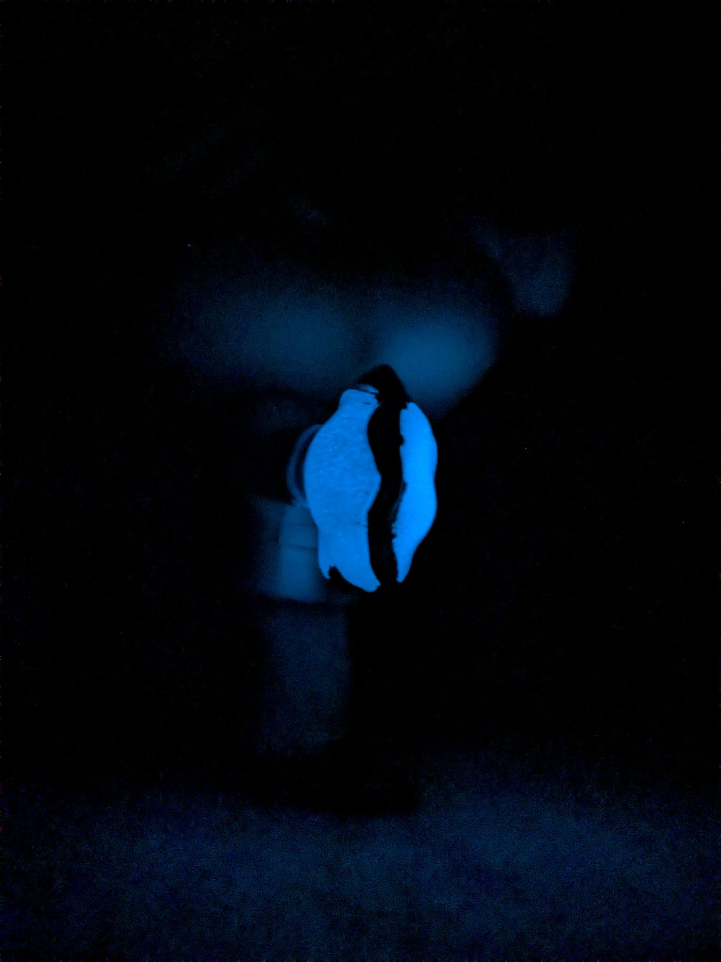 Funko pop 1490 : Kento Nanami Glow (Opened / Damaged Box)
