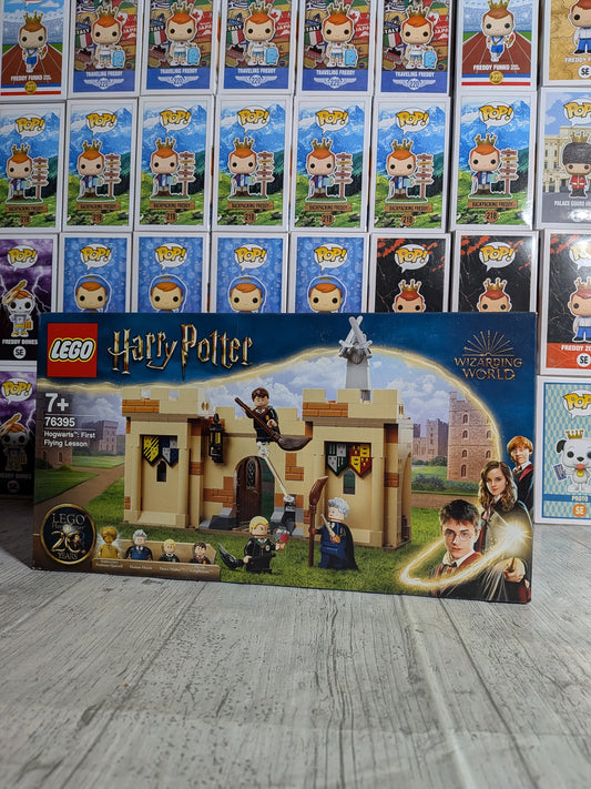 LEGO Harry Potter #76395 - Hogwarts First Flying Lesson