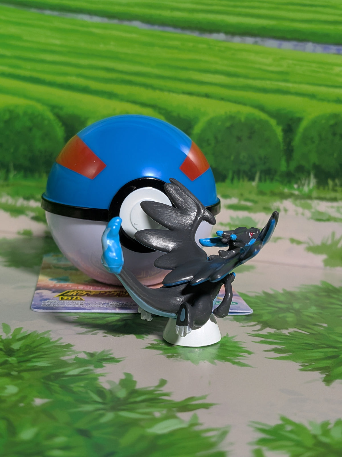 Shokugan: Pokémon Get & Gum - Blazing Sky Illusion - Méga-Dracaufeu X & Super Ball (Environ 3 cm)