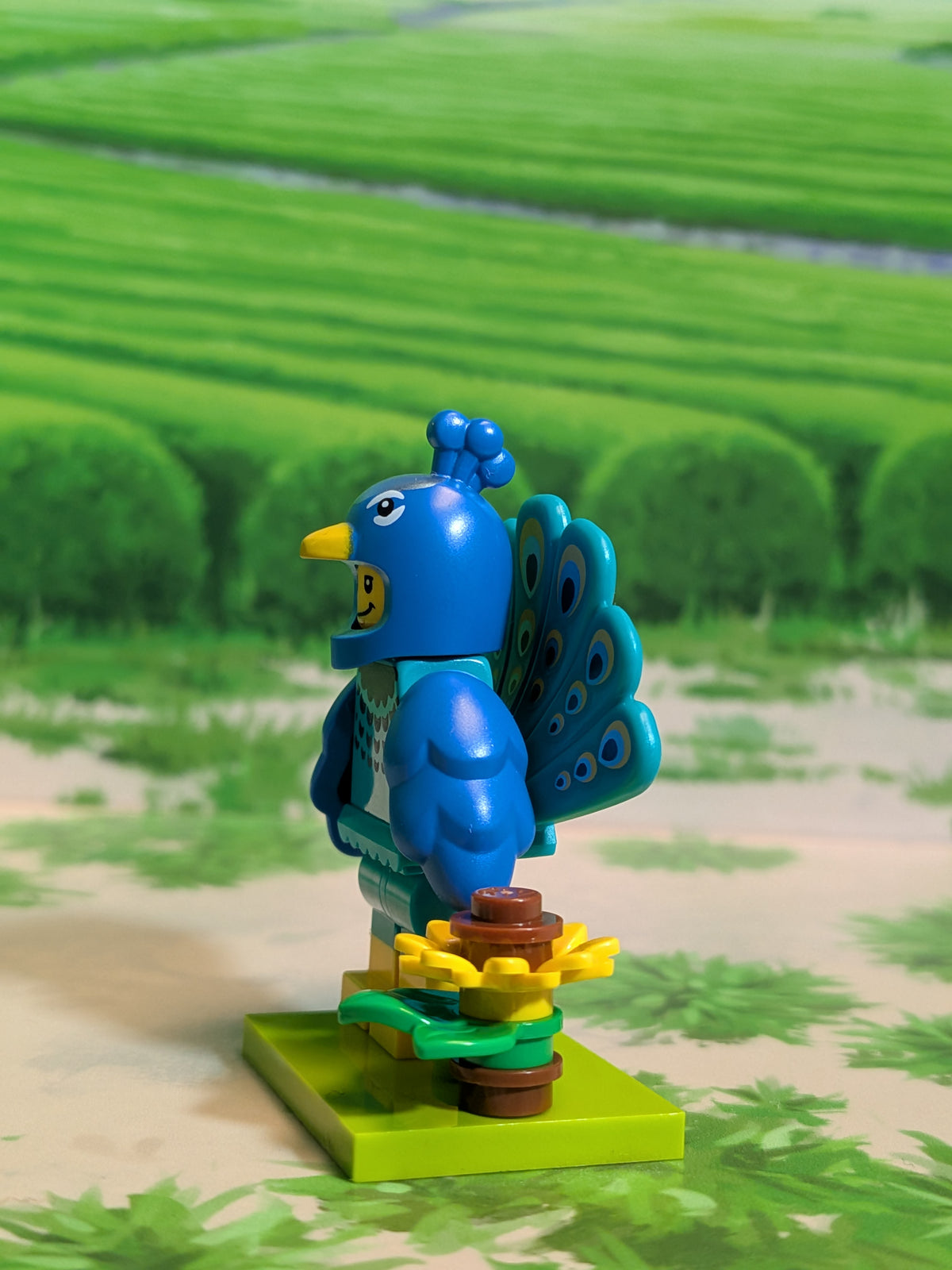 LEGO Minifigures - Peacock Costume Fan