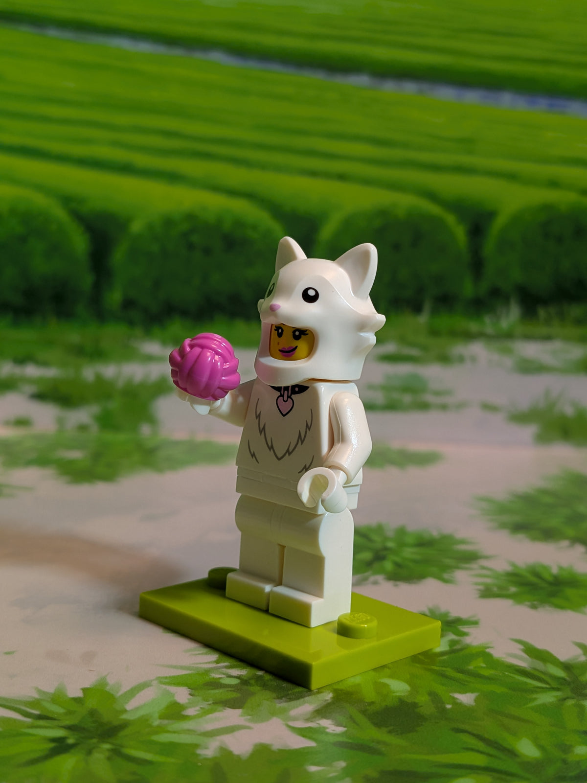 LEGO Minifigures - Cat Costume Fan