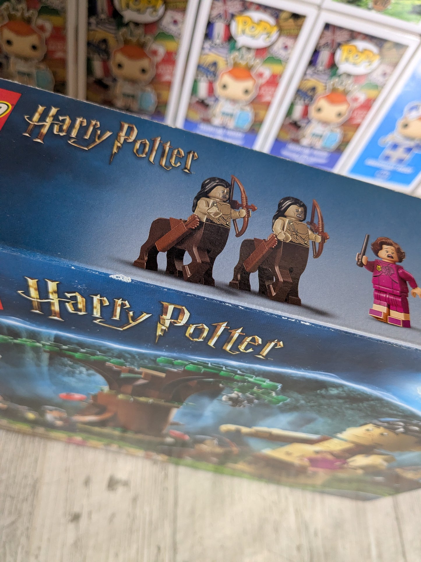 LEGO 75967 : Forbidden Forest Umbridge's Encounter