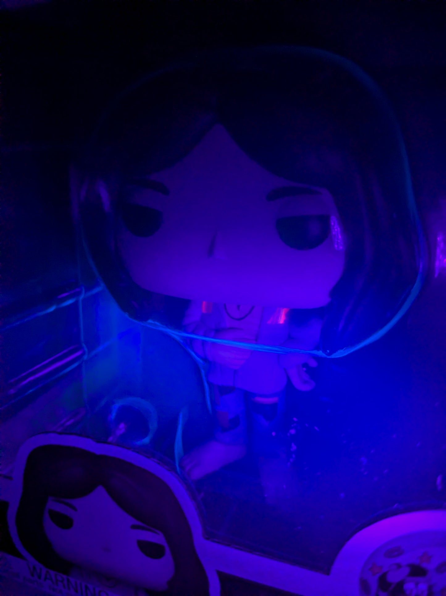 Funko pop Rocks - Chris Robinson & Rich Robinson