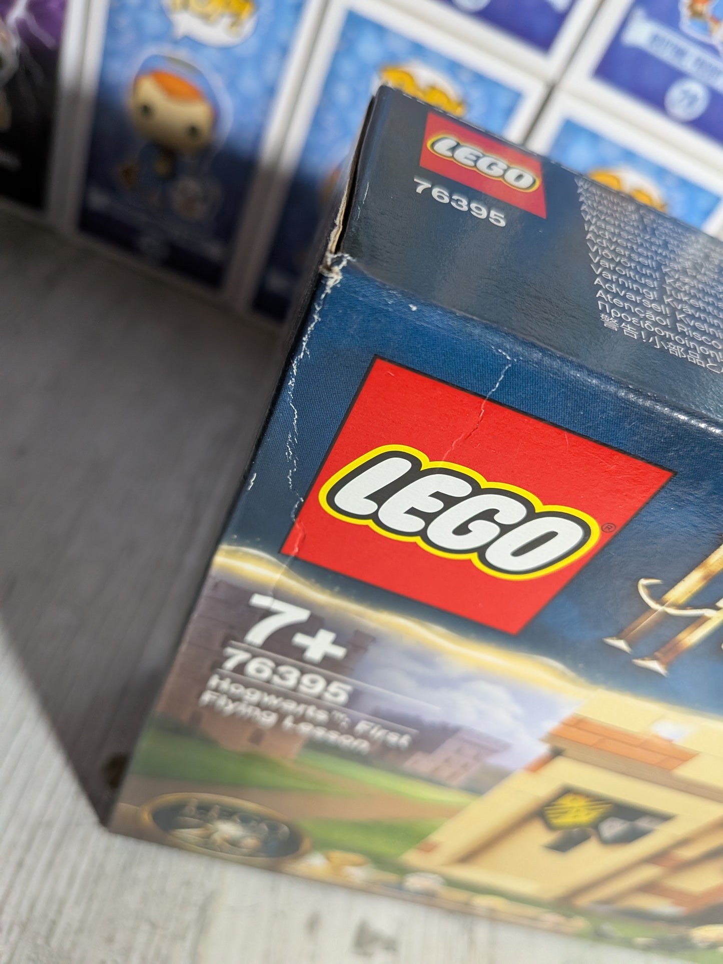 LEGO Harry Potter #76395 - Hogwarts: Die erste Flugstunde