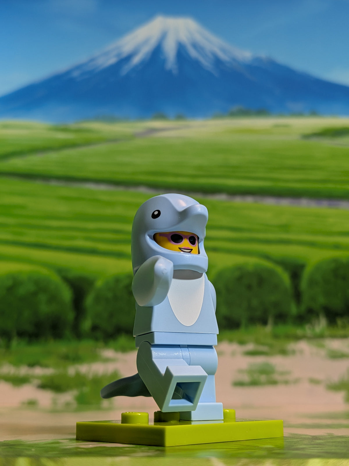 LEGO Minifigures - Dolphin Costume Fan