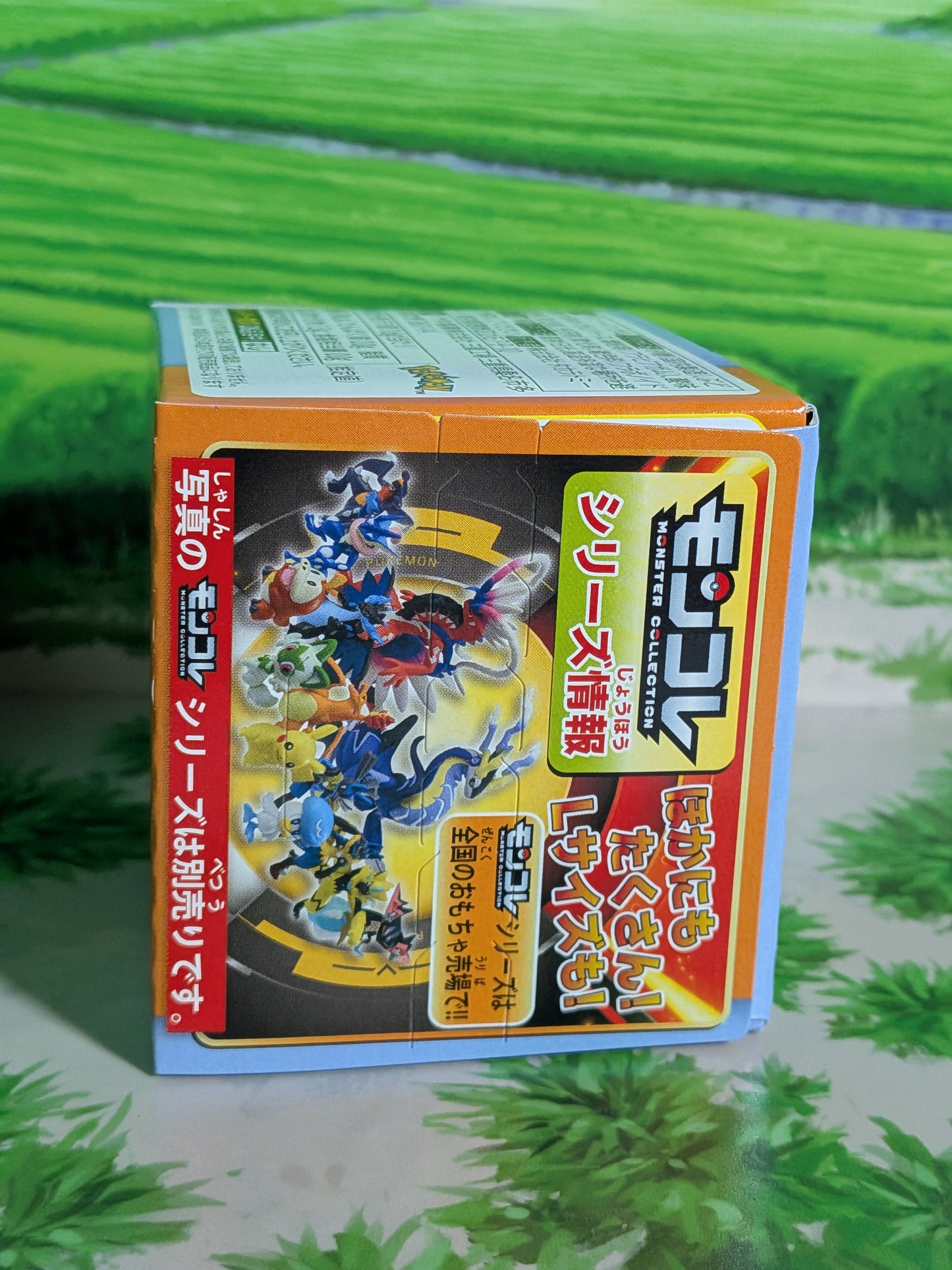 Takara Tomy Arts Moncolle Box Vol.11 - Mega-Dracaufeu Y | Mega Charizard Y (~5cm)