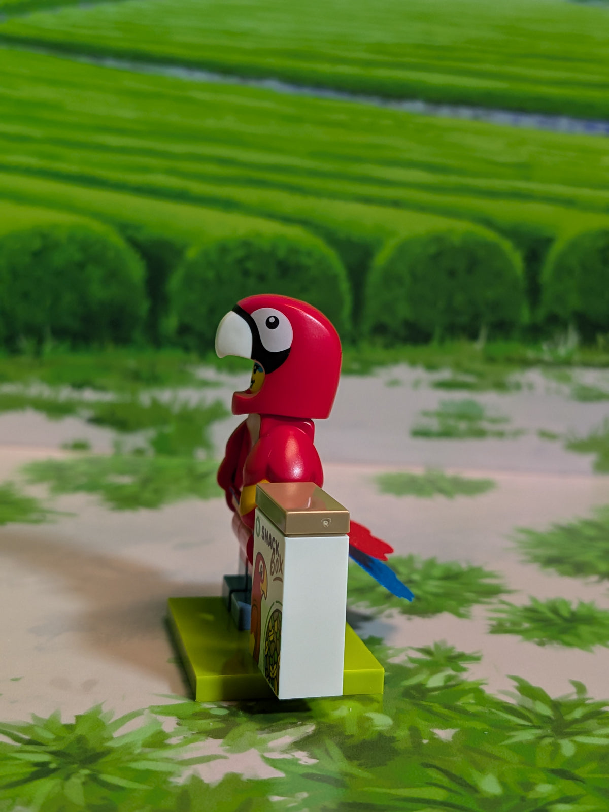LEGO Minifigures - Parrot Costume Fan
