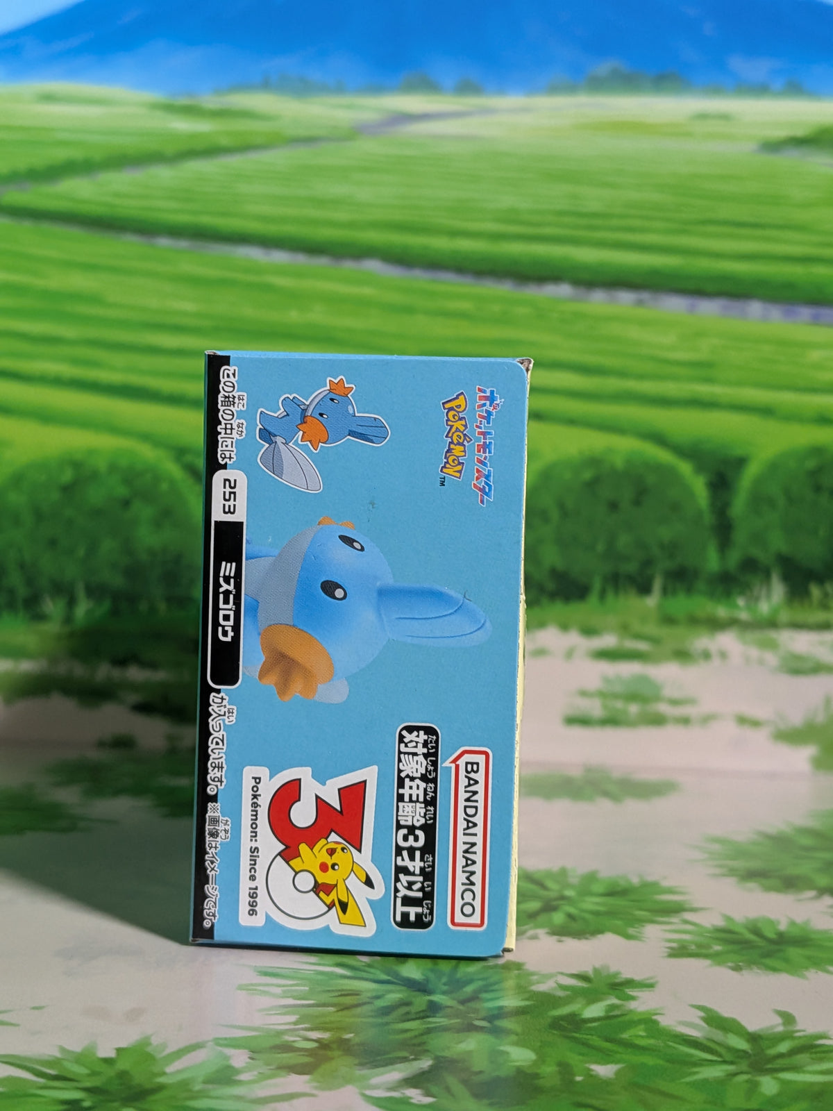 Shokugan: Pokémon Kids Mini Figure & Gum - 30th Anniversary Special Vol.3 - Gobou (N°253)