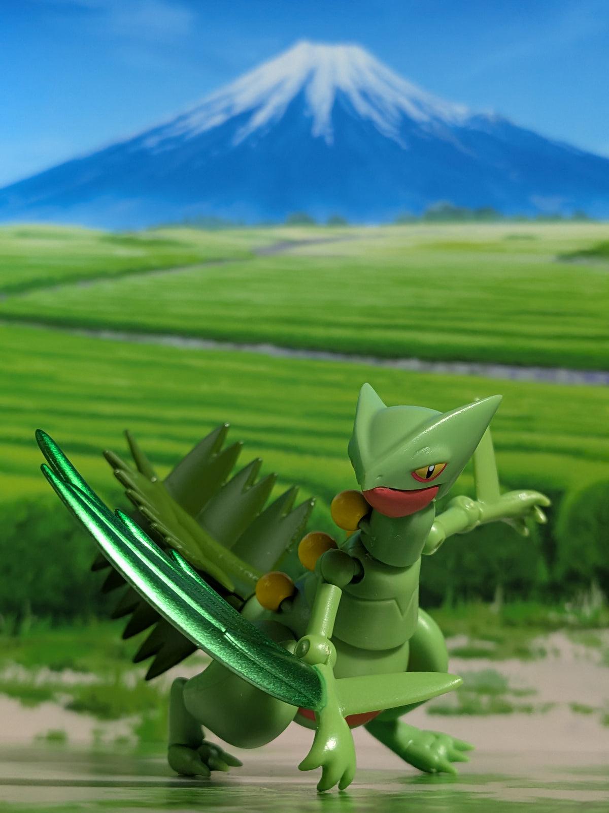 SHODO Pokémon 5 - Jungko | Sceptile (Figurine + Accessoire)
