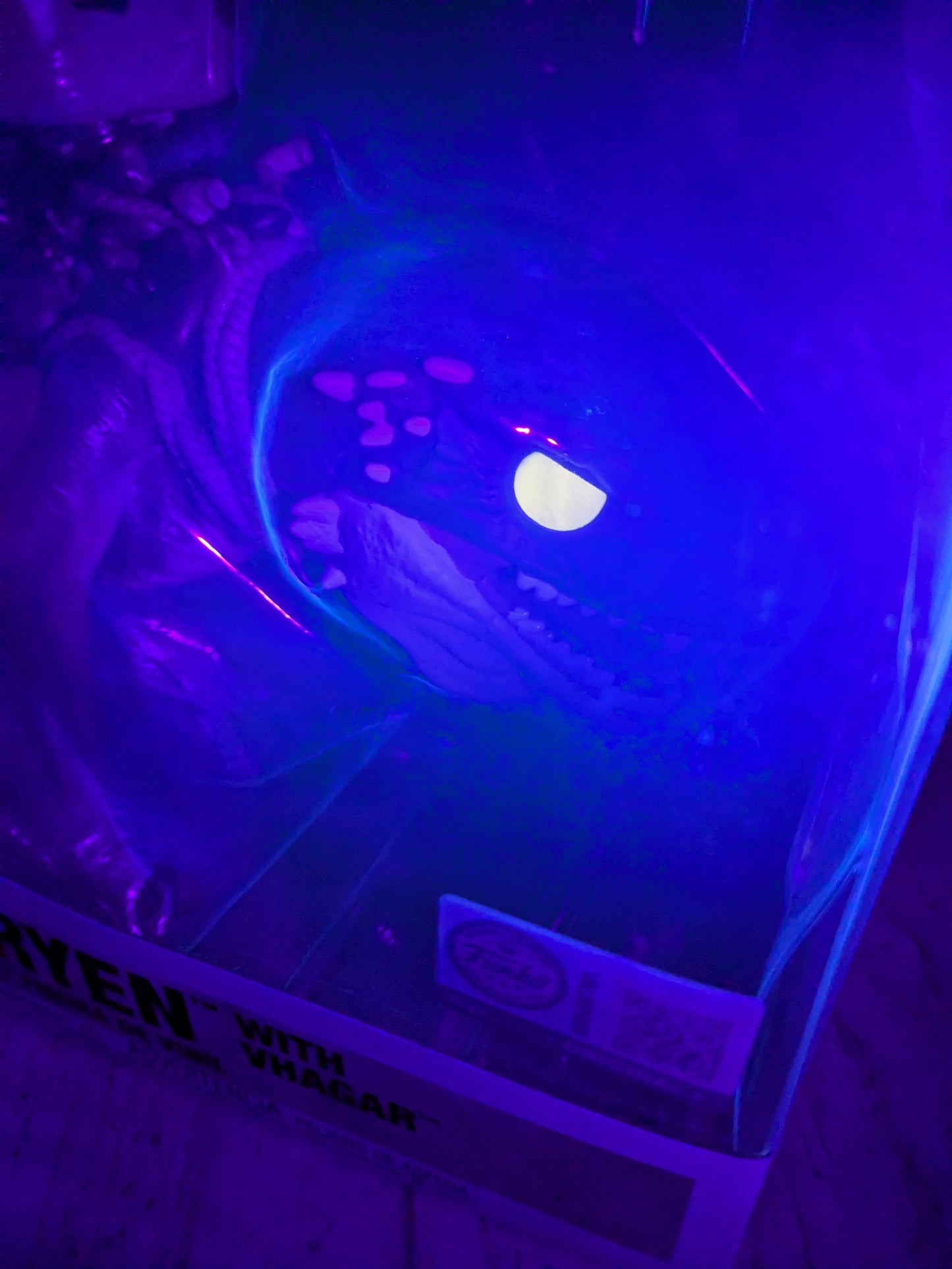 Funko pop House of the Dragon #136 - Aemond Targaryen with Vhagar