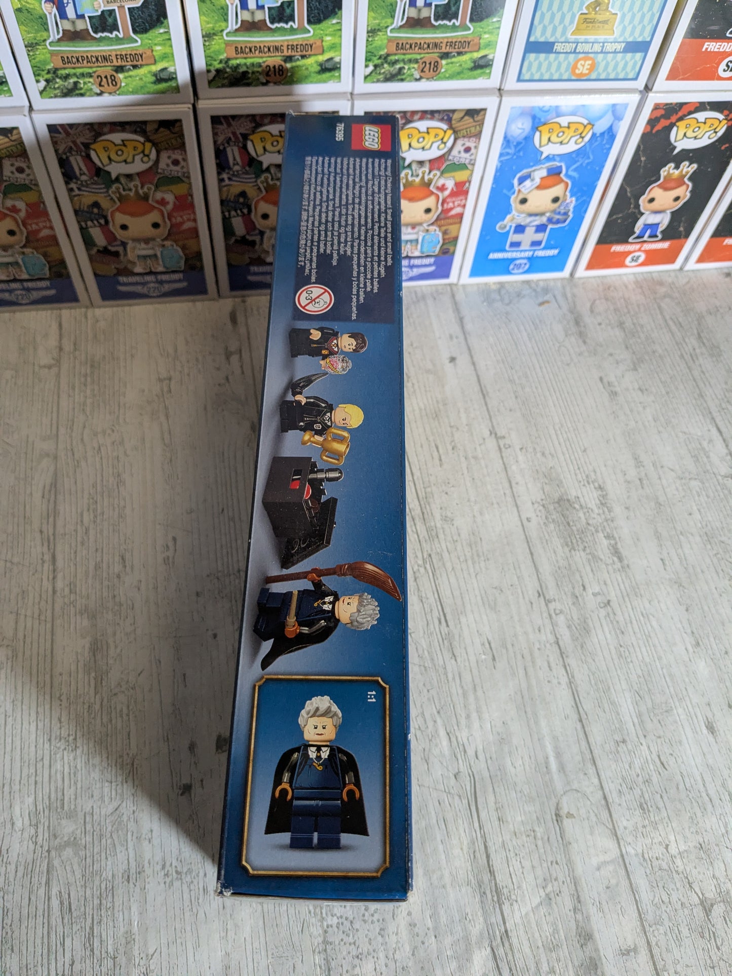 LEGO 76395 : Hogwarts First Flying Lesson