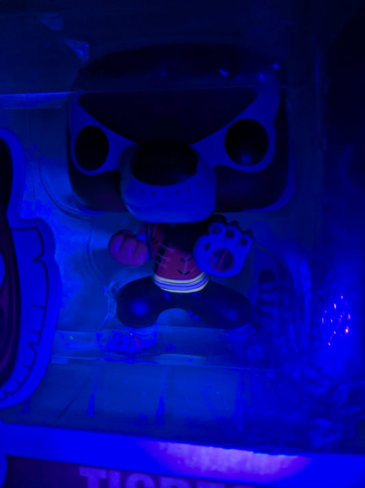 Funko pop Kung Fu Panda #251 - Tigress