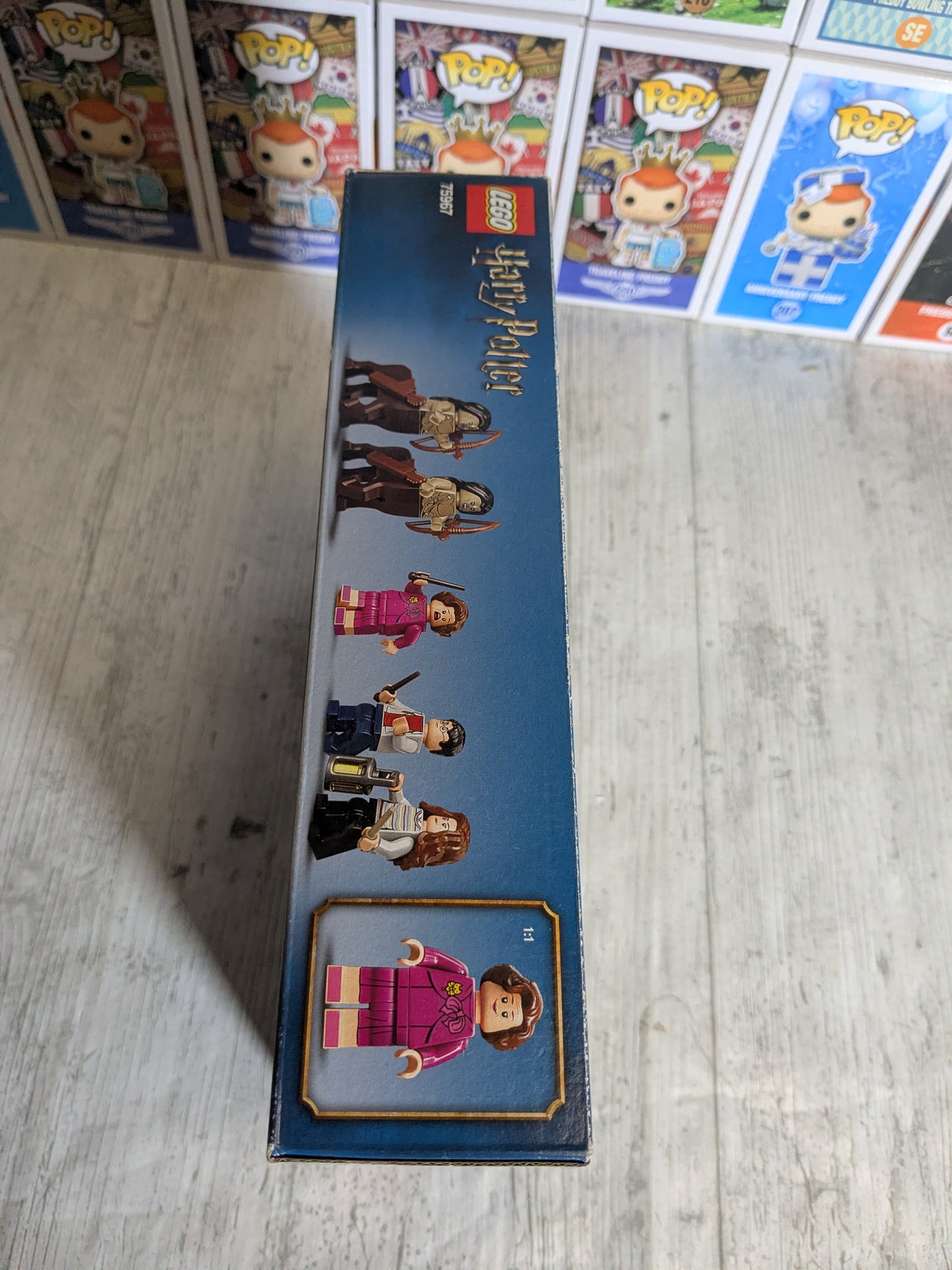 LEGO 75967 : Forbidden Forest Umbridge's Encounter