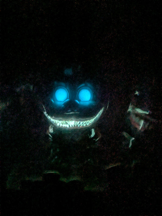 Funko pop : Twisted Freddy / Twisted Bonnie / Twisted Wolf / Twisted Chica (glow)