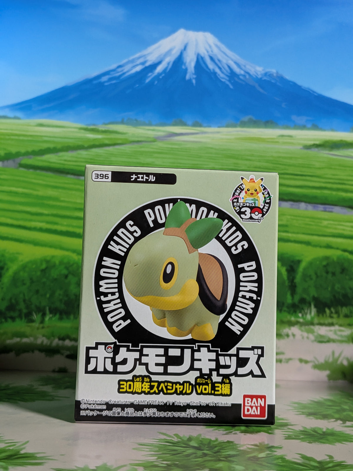 Shokugan: Pokémon Kids Mini Figure & Gum - 30th Anniversary Special Vol.3 - Tortipouss (N°396)