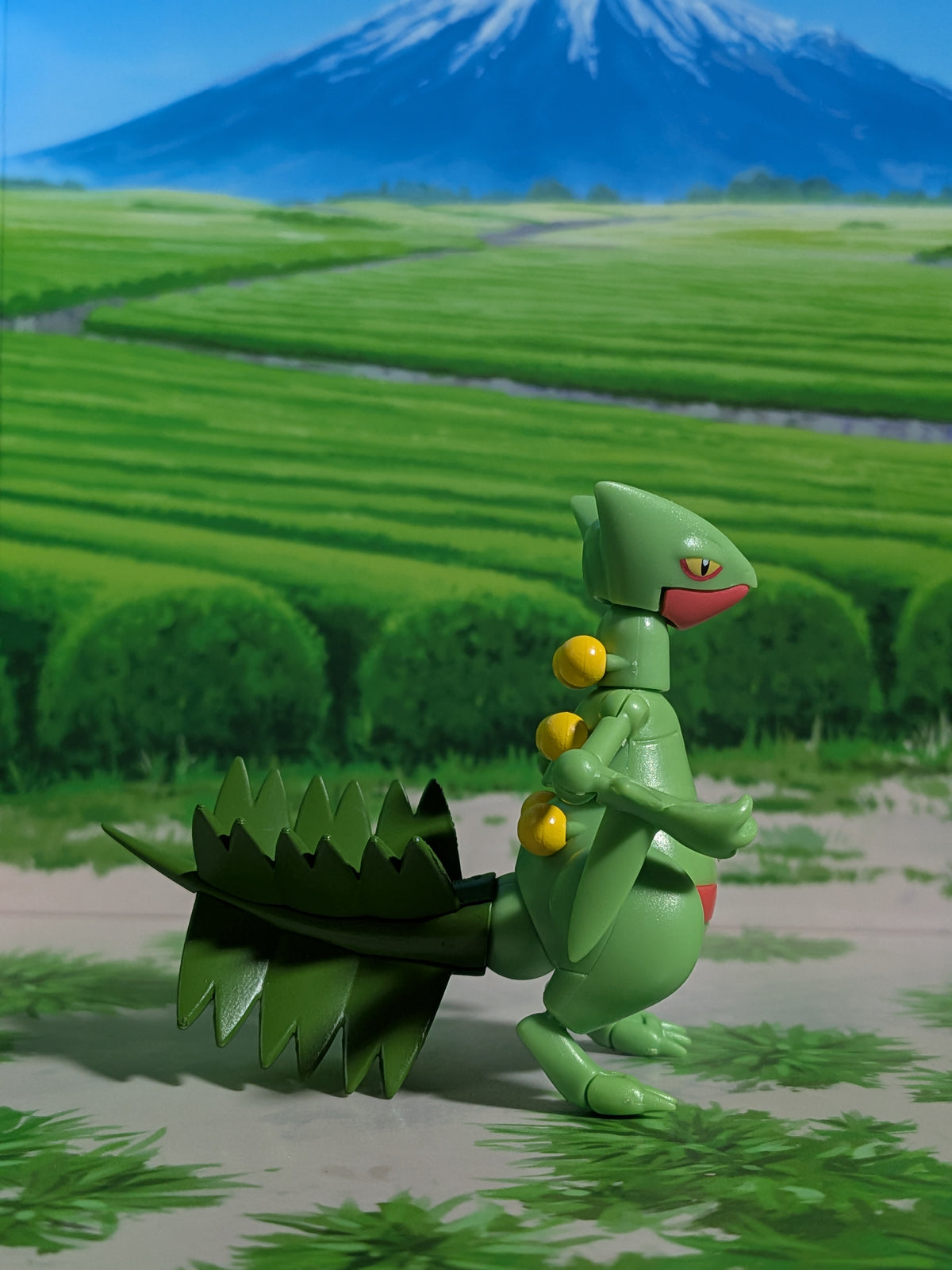 SHODO Pokémon 5 - Jungko | Sceptile (Figurine + Accessoire)