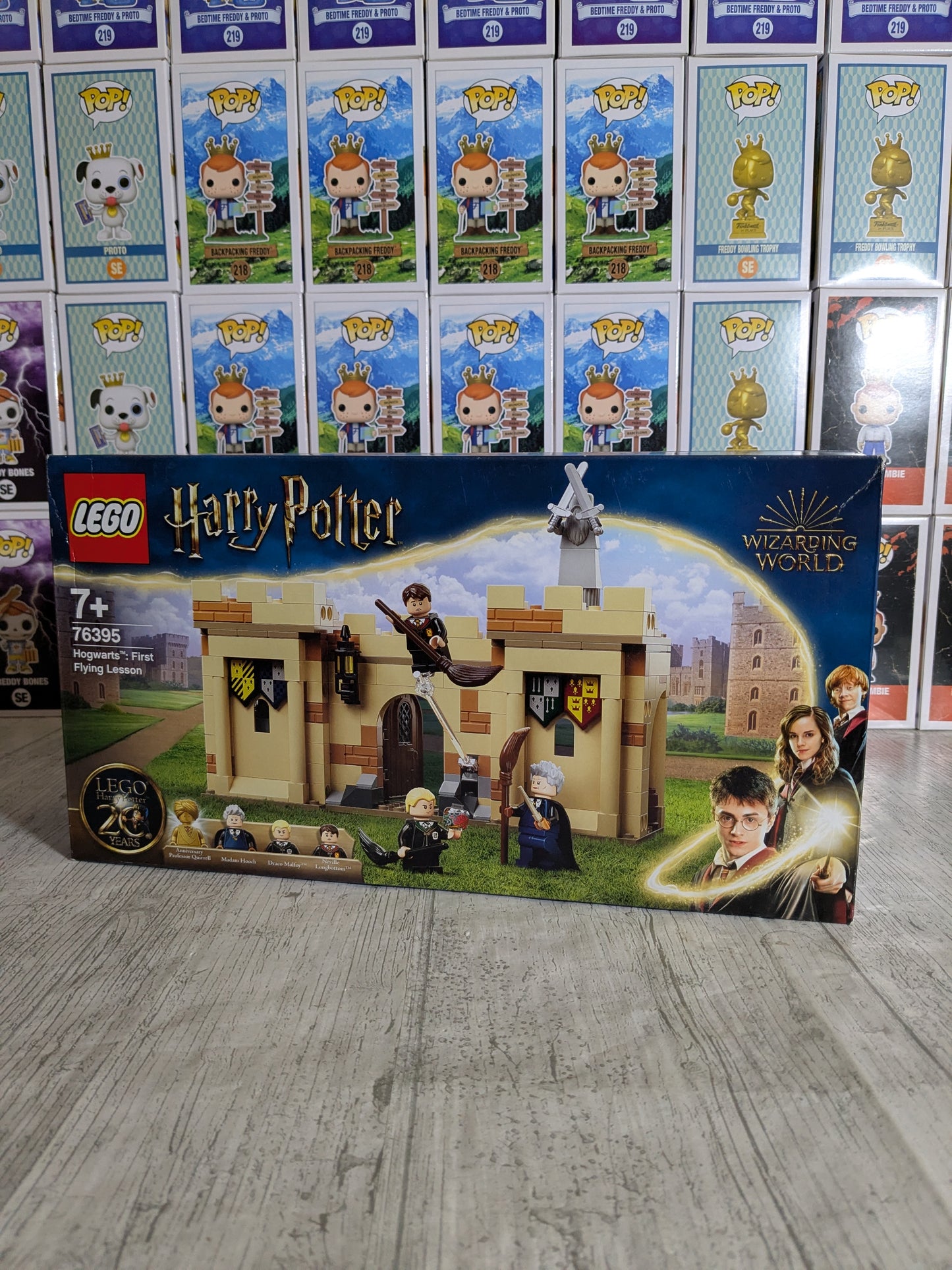 LEGO 76395 : Hogwarts First Flying Lesson