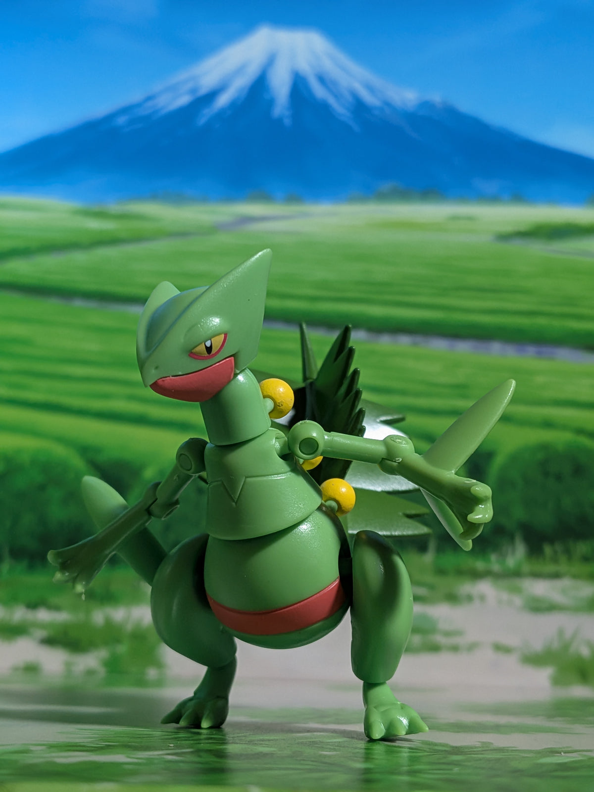 SHODO Pokémon 5 - Jungko | Sceptile (Figurine + Accessoire)