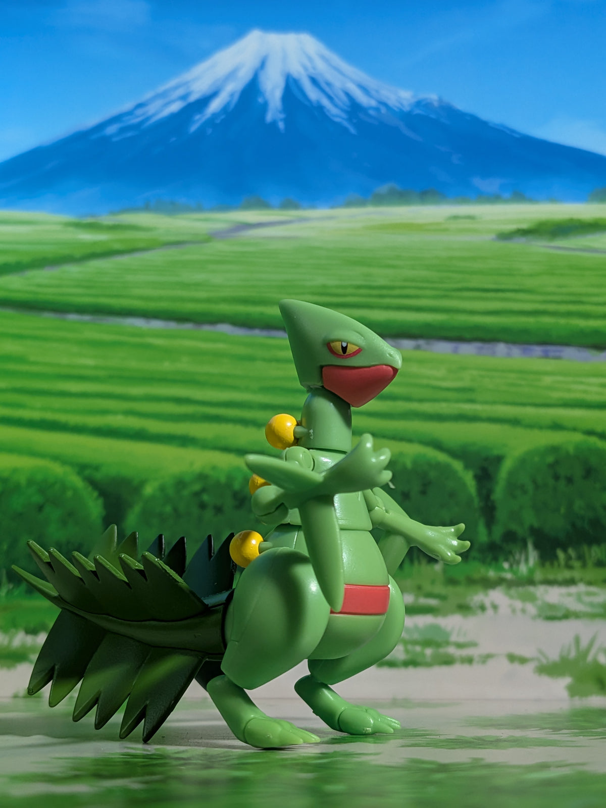 SHODO Pokémon 5 - Jungko | Sceptile (Figurine + Accessoire)
